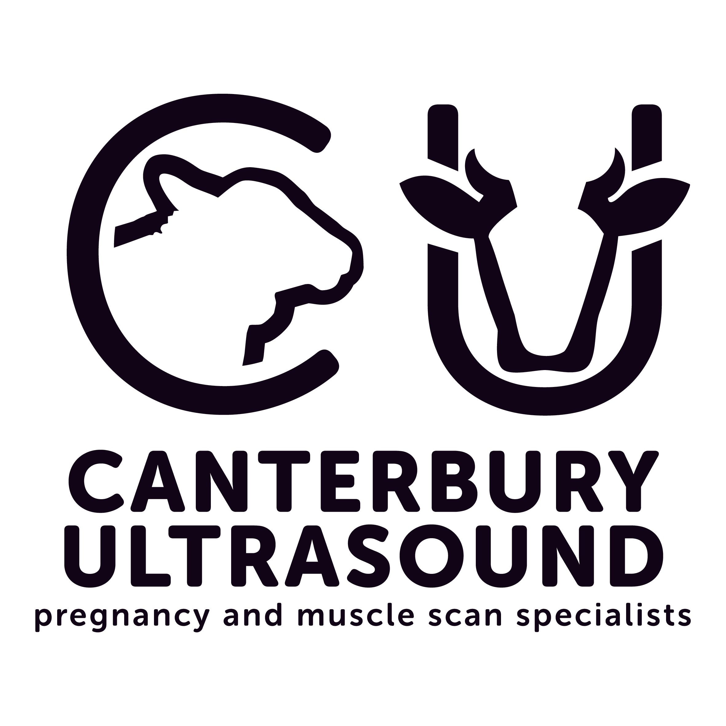 Logo of Canterbury Ultrasound with a stylized depiction of an ultrasound machine and text.
